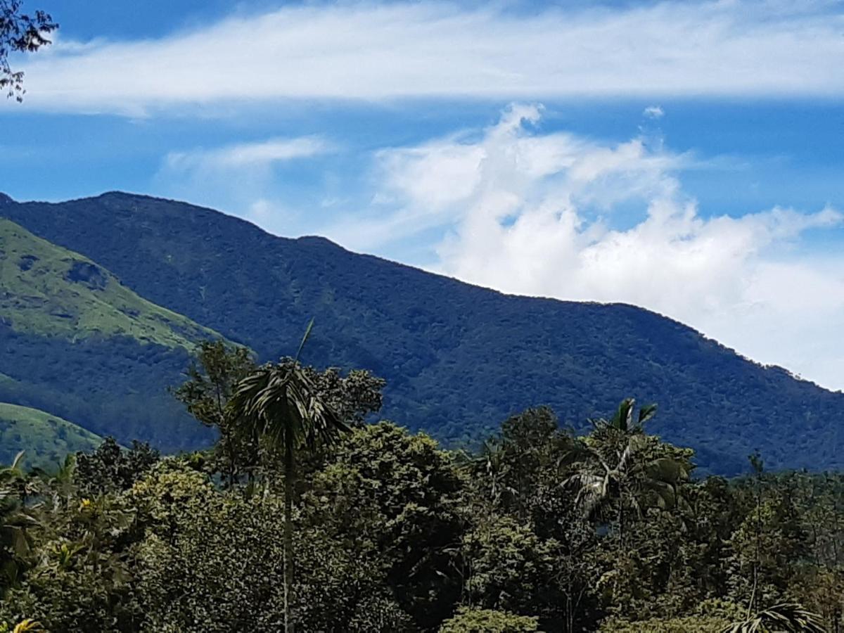 Mountain View Holiday Home Kalpetta Luaran gambar